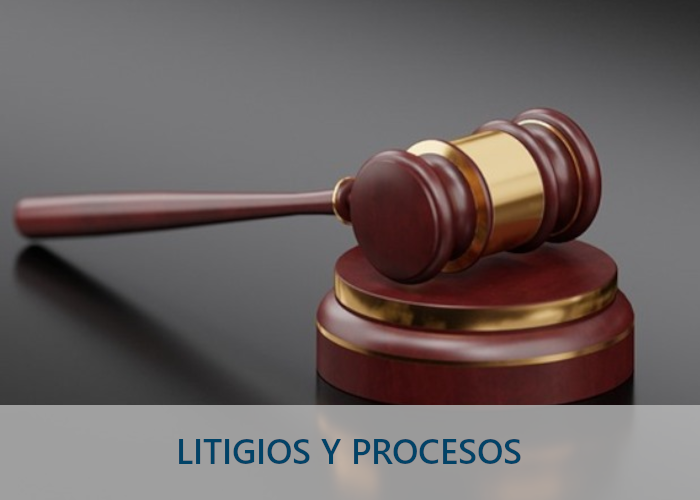 LITIGIOS Y PROCESOS