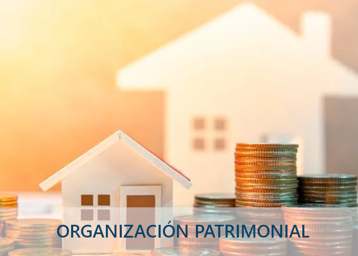 ORGANIZACION PATRIMONIAL